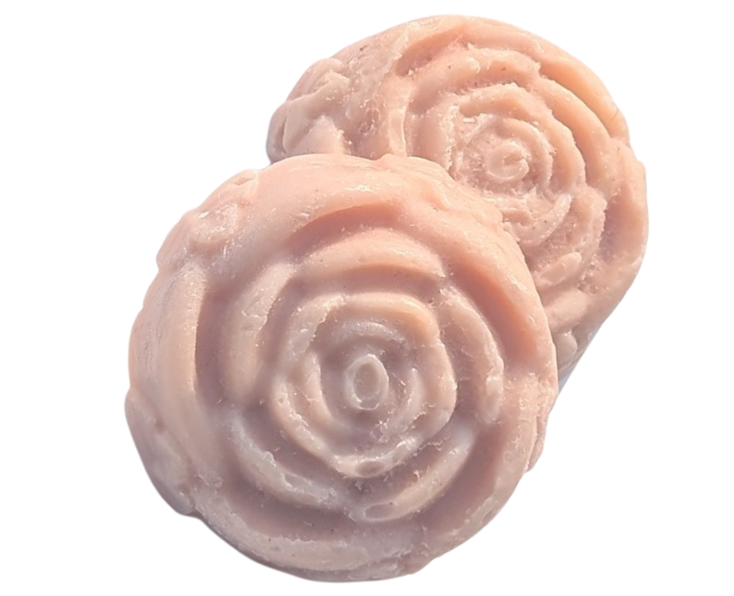 Rose Bloom