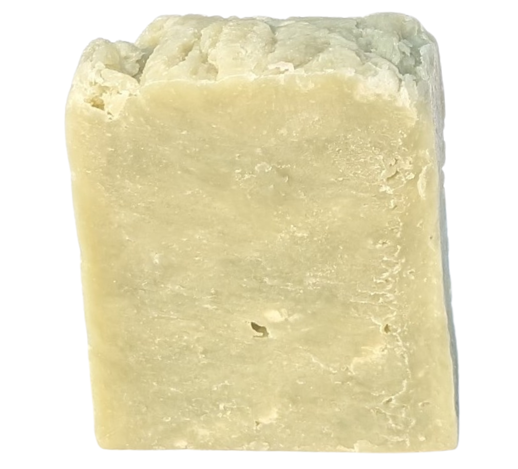 Aloe Haven